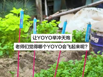 老师们觉得哪个YOYO会飞起来? #YOYO #抽象 #YOYO又快乐了 #烟花 #求助广大网友