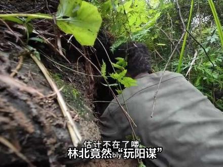林北竟然“玩阳谋”?荒野求生第40天,他蹲在直播间里吃山药,