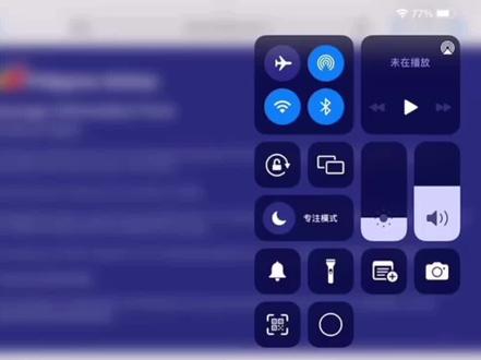 最新国际旅客登记范本