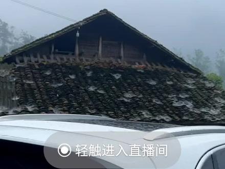 叔叔又去看吉连了#粉丝录屏#叶安安#吉连研欣