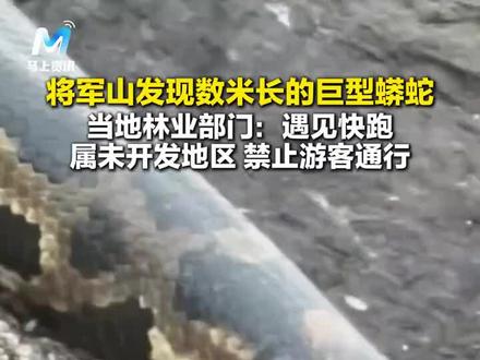 将军山发现数米长的巨型蟒蛇,当地林业部门:遇见快跑,属未开发