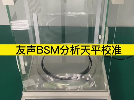 #电子秤使用方法 友声BSM#分析天平重量校准! #电子秤校正方法