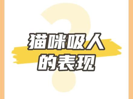 猫也会吸人?出现这些表现,说明你被猫咪吸了!#科学养宠攻略 #谁能拒绝傻憨憨的小猫咪 #神奇动物在抖音 #抖in萌宠计划
