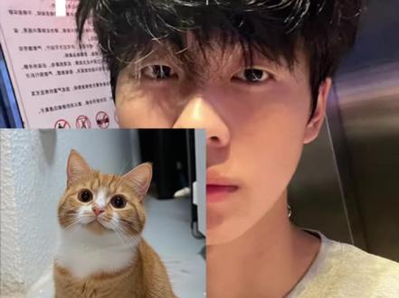 当我把猫咪和自己照片发给豆包#世界上不能没有小猫咪 #豆包ai