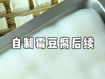 自制霉豆腐后续来啦! 原来霉豆腐竟然还能做成臭豆腐😄#自制霉豆腐 #霉豆腐 #霉豆腐教程 #臭豆腐 #自制臭豆腐