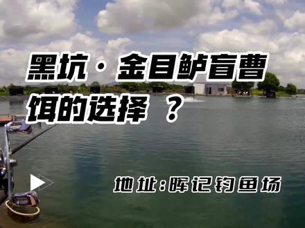 黑坑钓金目鲈(盲曹),我个人对选饵的理解(新鱼篇)。#原来钓鱼才是抖音运动顶流 #路亚 #2023dou来钓鱼 #黑坑盘老板 #金目鲈