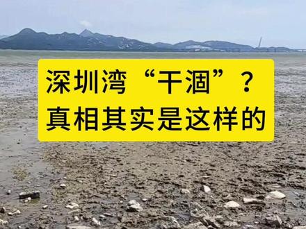 深圳湾“干涸”?真相其实是这样的…