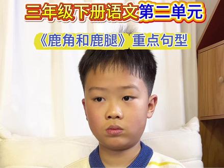 三年级下册语文《鹿角与鹿腿》重点句型学习#创作者中心 #创作灵感 #每天跟我涨知识 #辅导作业的那些事 #陪娃学习