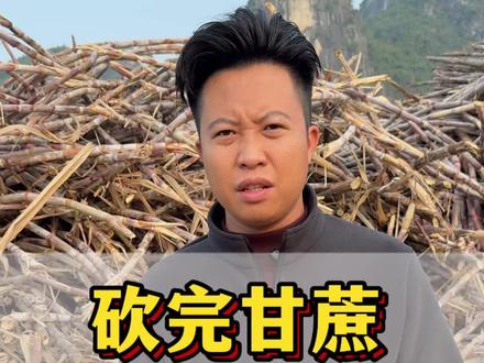 #甘蔗补贴 #糖厂 #糖厂开榨 #依夫利尔根千万 #抖音助农 砍完甘蔗,却进不了糖厂?@抖音小助手 @抖音创作小助手 @抖音热点