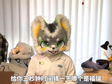 这俩到底有什么区别…#福瑞 #furry #meme