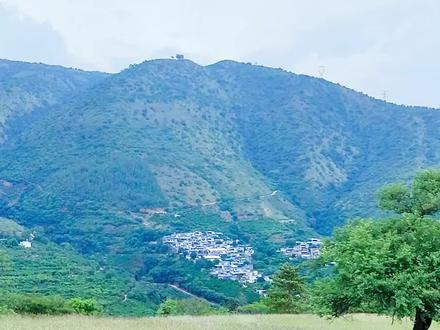 欢迎来 元江萨王纳草原玩 😂😂😂