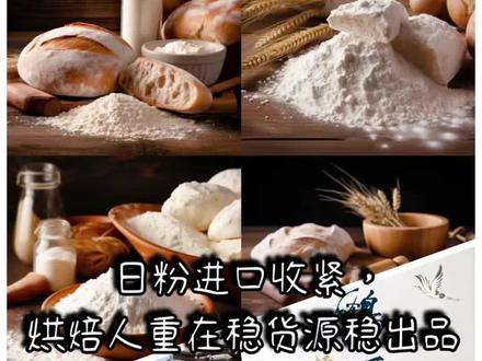 日系面粉供货紧张,烘焙圈迎来国产替代化 日本昭和、日清等品牌进口愈发紧张,国产高端粉该怎么平替?谁会是烘焙圈下一个网红面粉?
#日清 #进口面粉 #山茶花 #国产替代化