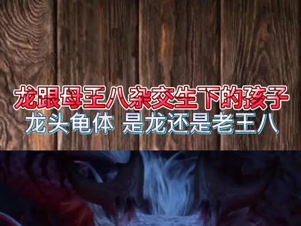 龙跟母王八杂交生下的孩子:赑屃