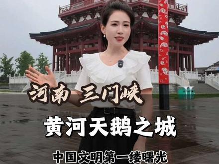 河南三门峡真的低调到封神,黄河穿城、万只天鹅栖息,每年初夏的横渡母亲河,更是壮观 #河南三门峡 #三门峡旅游 #大河新韵活力崤函 #横渡母亲河三门峡站