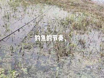 没事,,出来钓钓鱼🐟