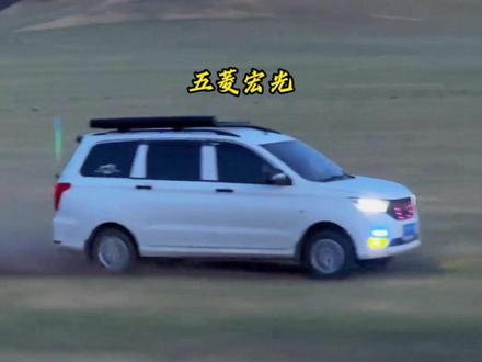 五菱宏光居然不是自主品牌 #汽车国补