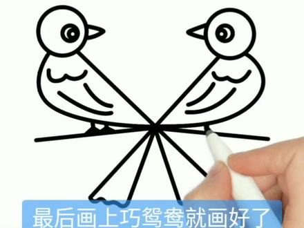 两只黄鹂鸣翠柳,小鸟这样画,小朋友也学得会哦#幼儿园作业 #简笔画 #简笔画教程