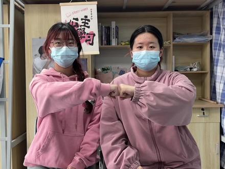 2026热门拼豆教你选择#拼豆 #bqeel拼豆 #拼豆图纸 #拼豆推荐 #手工