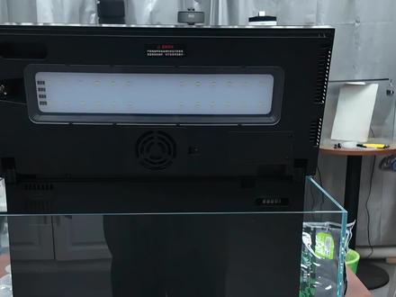 尼特利智能鱼缸开缸 鱼缸好不好,关键看种下来的效果。@尼特利Netlea水族 #水族爱好者 #水族 #水草缸 #水草造景 #水草