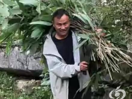 荒野求生45号选手“蜜蜂哥”称,其此前与前妻一同做装修, 赚的钱已全部花完#张家界七星山 #荒野求生 #蜜蜂哥 #装修 #大河深一度 (编辑:晓晓)