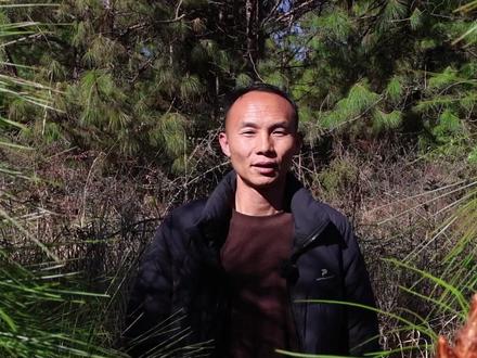 都说云南人的年是从铺开青松毛开始的。”杀家鞑子”的传说不知道你又听说过没有?如今我们用它纳福迎祥,这抹翠色,它不仅托起我们的团圆饭,也是我们的那份乡愁记忆。#云南人的快乐 #有一种叫云南的生活 #年味越抖越有劲 #沾益 #掌中沾益