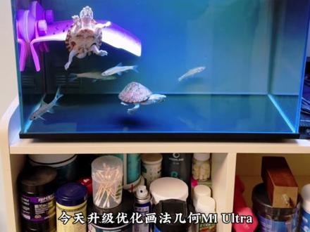 升级优化画法几何m1ultra 灯光以及过滤。#画法几何m1ultra #画法几何m1ultra改造 #智能鱼缸 #水族 #小米鱼缸