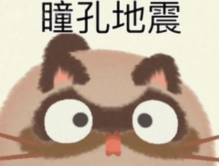 #福建游神 #福建游神世子天团 #厚福游神 神果然在看着我们🥹🫡