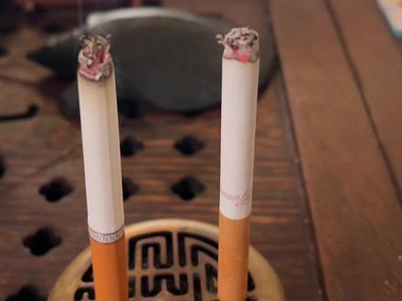 @狗哥好粮 自行评判#戒烟#助燃剂 #自卷 #手卷烟 #自卷烟