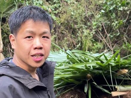 11月26日报道,张老六“搬空”山里的棕榈树,住上奢华双层床,甚至还有凳子。(编辑:孙三三)#荒野求生 #野外生存 #七星山荒野求生挑战赛