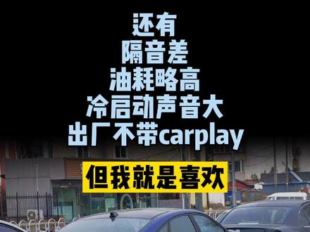 接受缺点之后,然后就是安心的陪伴#菲斯塔