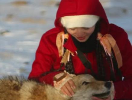 感谢每一位尊重原创、理性发声的朋友。
用心创作的人,值得被温柔对待。
我们相信事实,也相信时间。
#重返狼群#重返狼群背后的故事 #重返狼群原著完整版#重返狼群电影 #李微漪和格林的故事