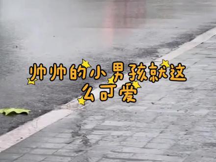 小汽车儿童大合集 小汽车儿童3-6岁 儿童0-3岁儿童汽车 3-6岁儿童汽车大全 小汽车儿童视频 车车3-6岁儿童玩具小汽车#3-6岁儿童动画视频 #3-6岁儿童汽车动画片 #0-3岁儿童启蒙动画片 #小汽车 #儿童动画