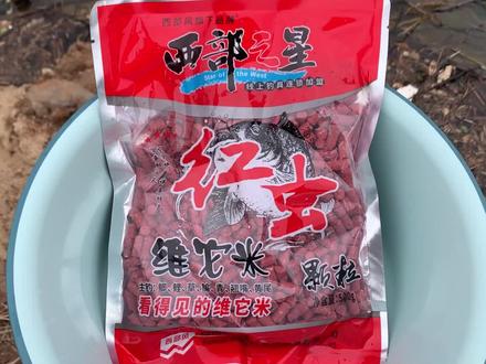 西部风红虫颗粒饵料测试。#饵料窝料 #野外钓鱼技巧 #饵料测试 #测饵 #钓鱼技巧