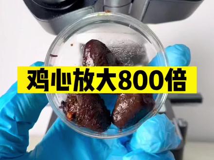 #鸡心 #显微镜 #健康
你们喜欢吃鸡心吗?你们知道吃鸡心有哪些好处和哪些坏处吗?一定要看到最后。 @DOU+小助手 @DOU+上热门