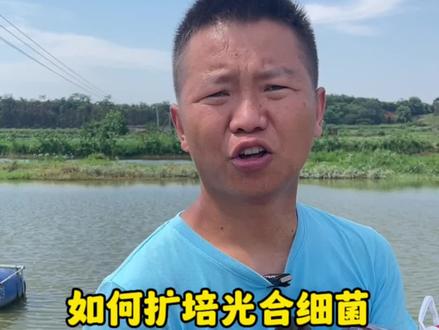如何扩培光合细菌?#水产养殖 #水产养殖技术