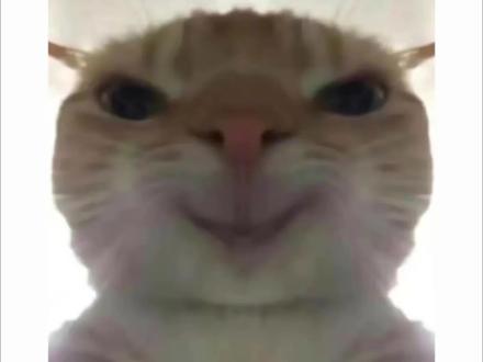 遭了,这位比👻还可怕 #广播剧 #藏青 #漫播 婷#张福正 #马正阳