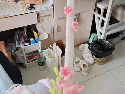 一剑霜寒十四洲#桃花剑 #做手工我是认真的