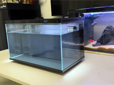 尼特利智能鱼缸,开箱深度解析 #尼特利智能鱼缸 #智能鱼缸 #鱼缸 #养鱼 #养鱼日记