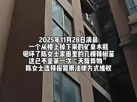 法院判了:全体业主赔偿陈女士1元!#高空抛物