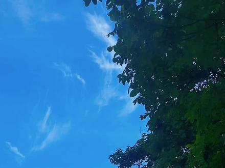 汉中留坝两天一夜(攻略虽迟但到)
交通:西安-汉中,高铁97
汉中-留坝,自驾(提前在网上租好车,汉中站取车,租车138,加油200,走高速过路费48,从咸阳开车的话到留坝高速费167西安自驾过去可参考)
住宿:自驾的话住县城就好,价格比较实惠100多一点
路线:
第一天
张良庙——留坝老街——小梁烧烤(很有名,味道很赞,价格实惠)
第二天
紫柏山——狮子沟牧场——情人谷——县城吃饭——返程
注意:带薄外套,错峰出游,周内体验感更好,狮子沟牛奶湖水位严重下降,整体感觉稍差,卫生间很脏,可以去但不要抱有太大期待就好了,拍拍照还是可以的挺出片,没必要为了这个牧场专门跑一趟哈。紫柏山非常推荐,缆车到山顶再走一段台阶,草甸非常漂亮
两天完全足够了这些地方
有两个小众景点在去景点的路上开车时可以留意下
1.快到紫柏山景区停车场的路边,有条河,有种九寨沟的感觉,特别出片
2.狮子沟牧场方向,距离牧场3公里左右路上有个新建的学校就在学校对面有个湖,可以划船,这条路一直往前路边都可以露营,可以划船,拍照也很好看 #汉中最值得去的地方推荐 #这里是陕西留坝 #森林氧吧