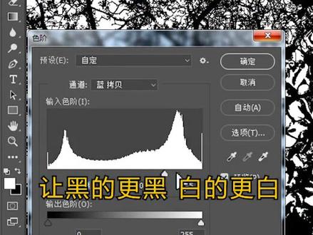 复杂树枝的抠图实用方法!#ps#ps技能