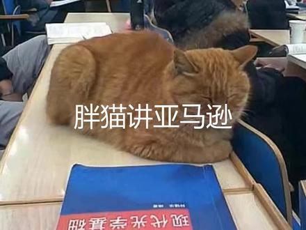 胖猫讲亚马逊-信用卡绑定未扣费