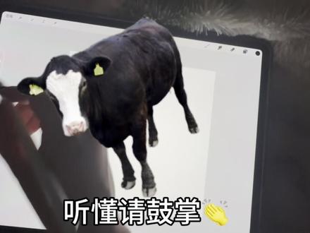 回复 @Ooost的评论
别人都是网上说说,我剪映会员真的是最后一天到期了……
