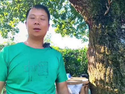 你们要的诱蜂教程来啦,个人经验仅供参考,试试你能不能诱到100群蜂#农村养蜂人 #抖音新农人 #三农 #我的乡村生活