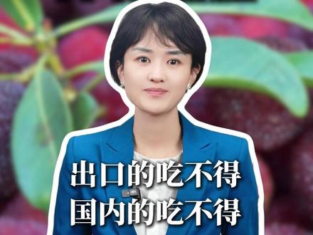 漳州杨梅:出口的吃不得,国内的吃不得 #热点 #热点新闻事件