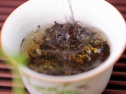 金花满满的茯茶,该怎么冲泡#茶生活 #召唤茶友 #人生如茶 #爱喝茶的关注我