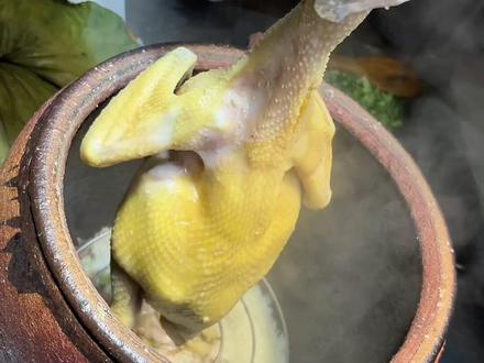#瓦缸鸡 #瓦缸鸡饭培训 #瓦缸鸡做法 #瓦缸鸡技术