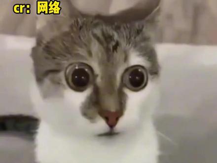 起猛了,看见灰太狼的狼堡了 #灰太狼 #狼堡 #自建房 #抽象 #热点