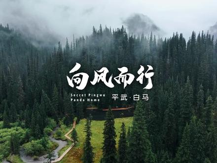 这个国庆,你准备好出发了吗?来平武白马,向风而行,在天母湖、扒昔加、沙棘沟、王朗之间开启一场奇妙的穿越之旅~#国庆去哪玩 #旅行推荐官 #治愈系风景 #国庆心动打卡地 #国庆旅行指南