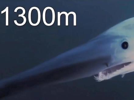 深海探索之谜